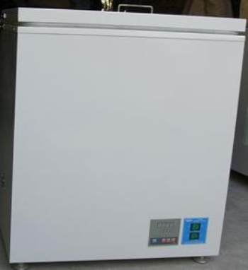 ��Ƭ����